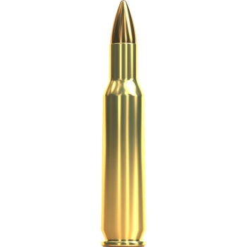 222 REM / FMJ / 3,24G...