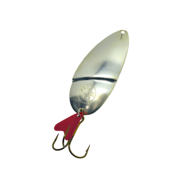 OSCILANTA ARGINTATA...